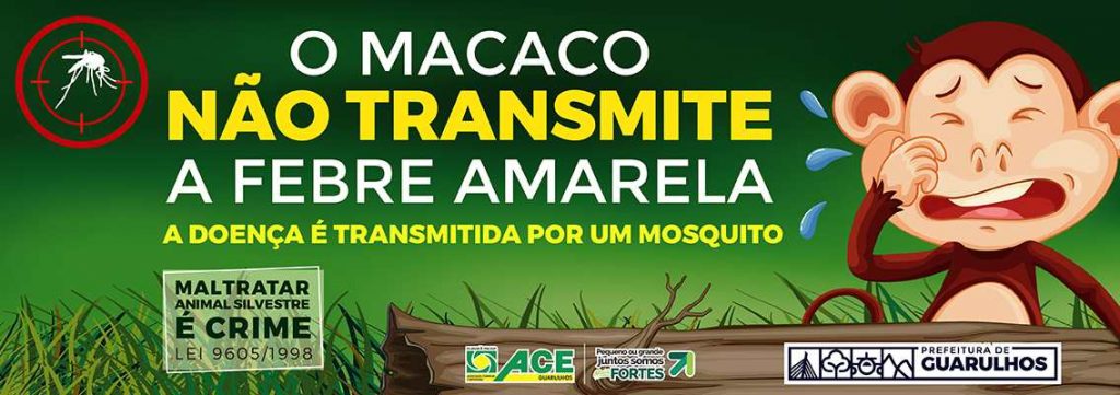 O Macaco não transmite Febre Amarela